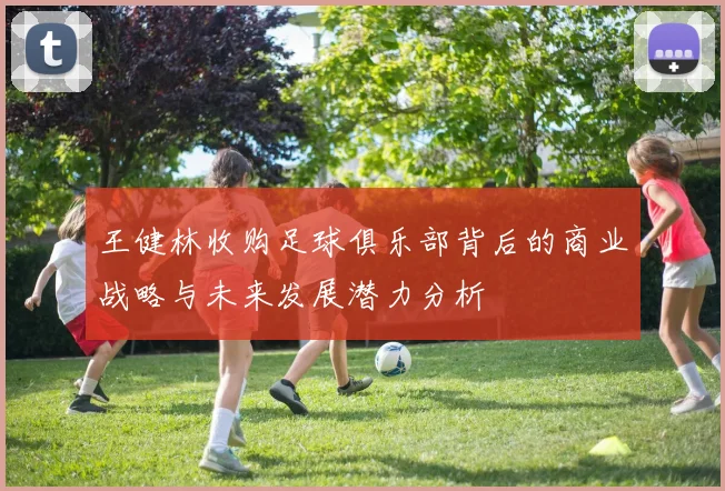 王健林收购足球俱乐部背后的商业战略与未来发展潜力分析