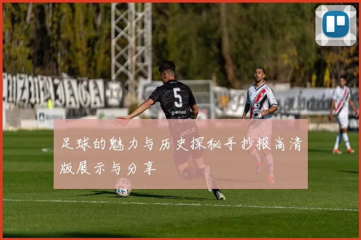 足球的魅力与历史探秘手抄报高清版展示与分享