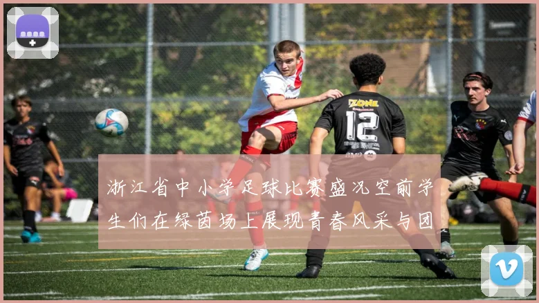 浙江省中小学足球比赛盛况空前学生们在绿茵场上展现青春风采与团队精神